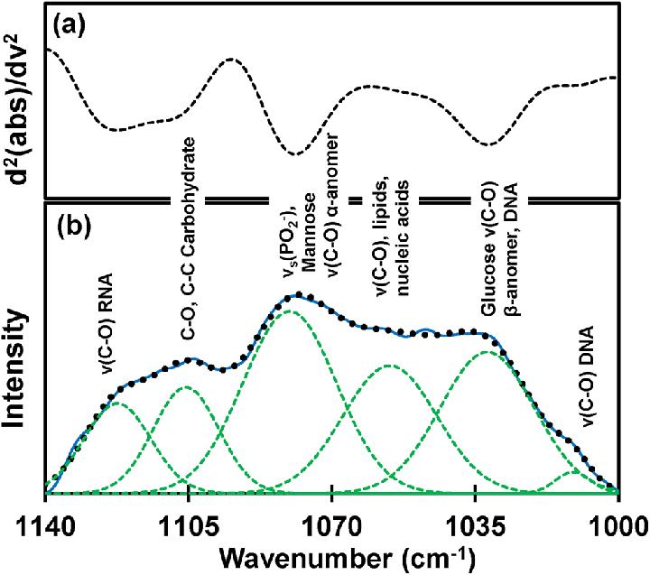 Fig.1 Analysis of nucleic acids by IR.